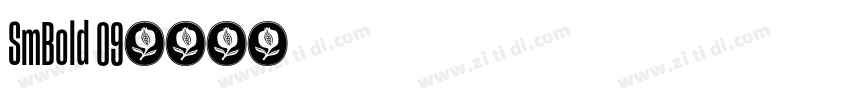 SmBold 09字体转换